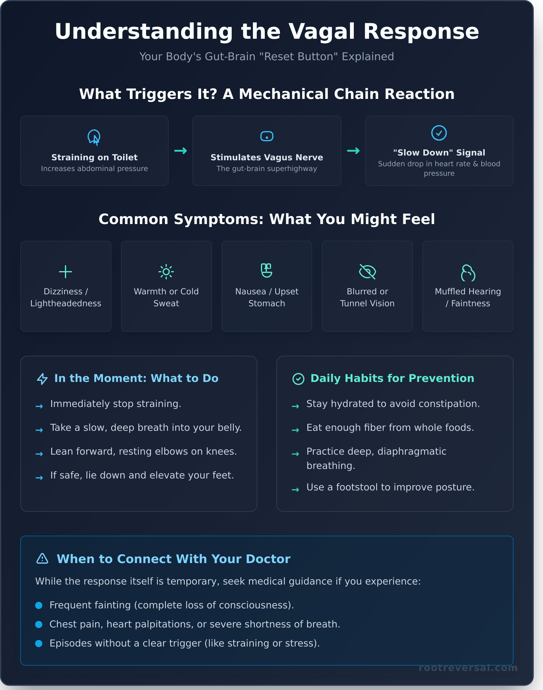 Vagal Response and Bowel Movements: A Gentle Guide - Infographic