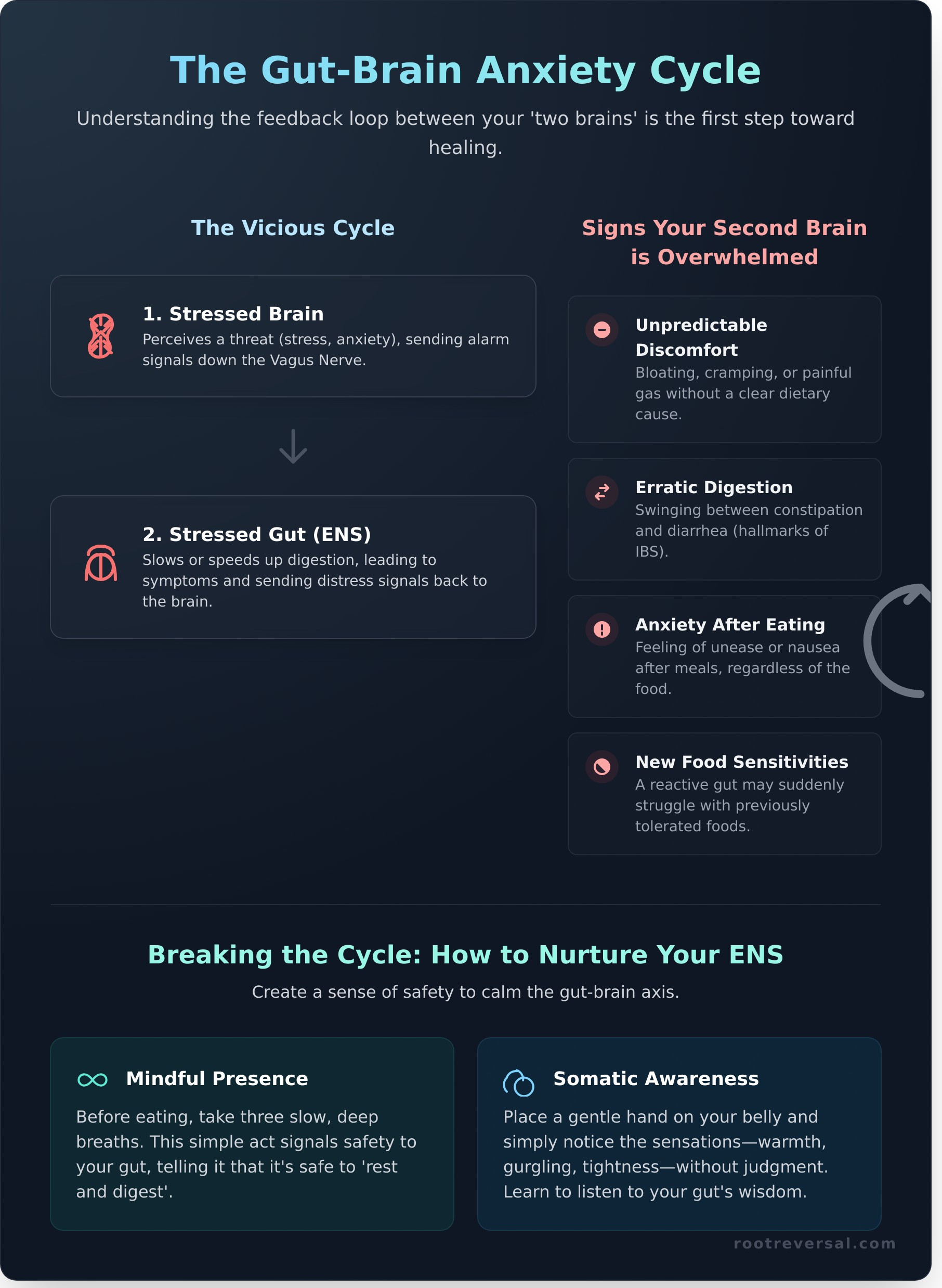 Your Second Brain: A Gentle Guide to the Enteric Nervous System - Infographic